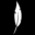Cooper’s Hawk logo